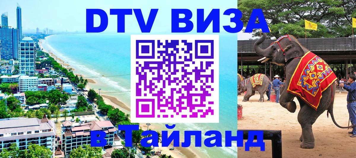Оформление DTV визы под ключ: стоимость и тарифы, только загранпаспорт - Долгопрудный 